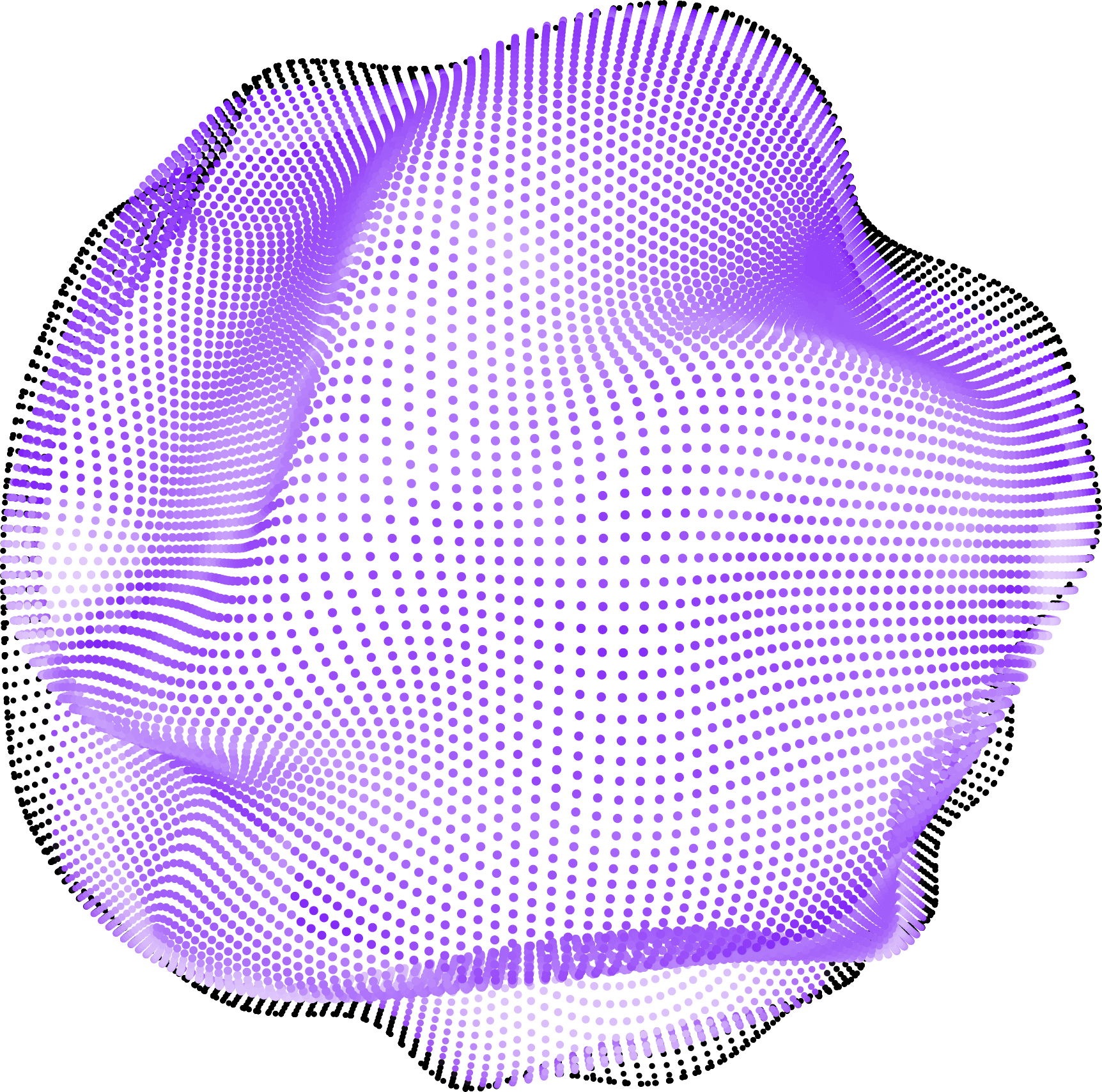 feature image 2